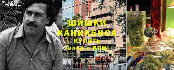 индика Арсеньев