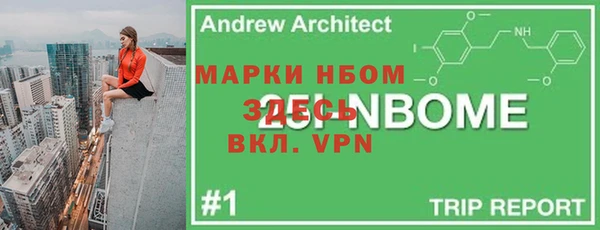 индика Арсеньев
