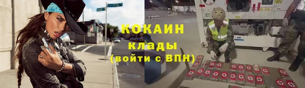 индика Арсеньев