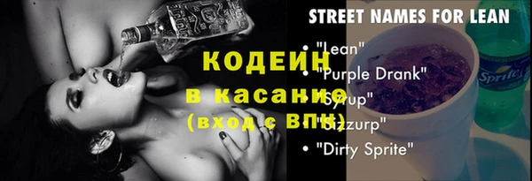 индика Арсеньев