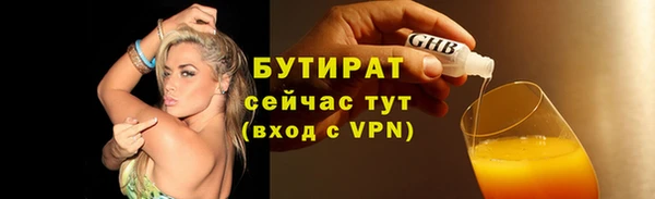 индика Арсеньев