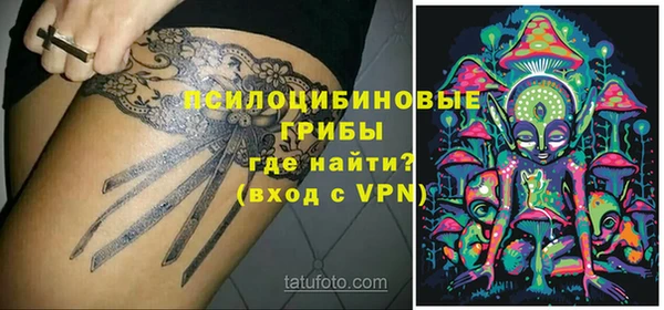 индика Арсеньев