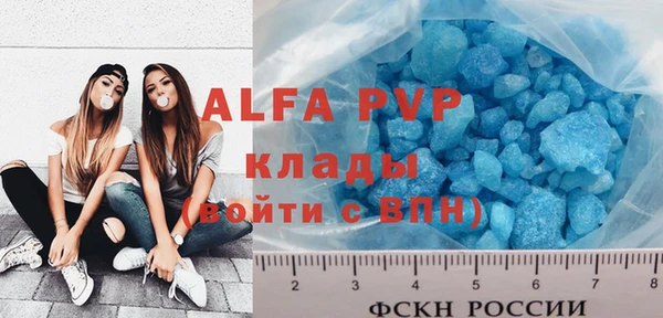 индика Арсеньев