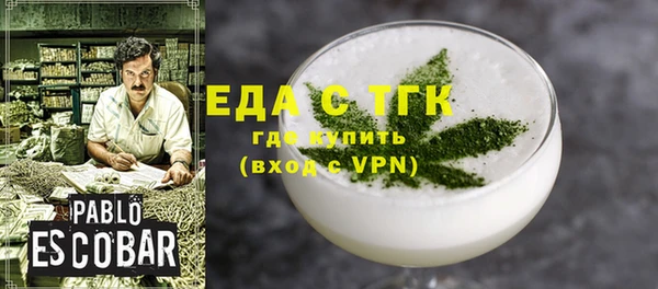индика Арсеньев