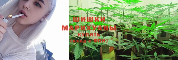 индика Арсеньев