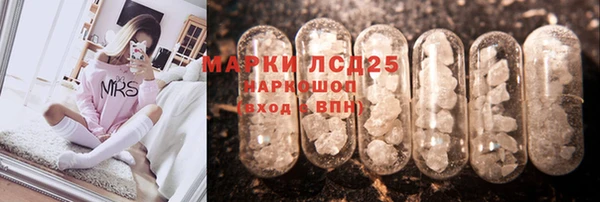 индика Арсеньев