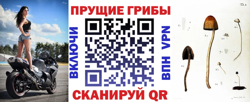 Псилоцибиновые грибы мухоморы  Микунь 